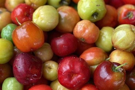 ¿Acerola: La fruta mágica del futuro de la industria alimentaria?