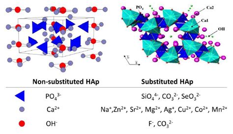  Hidroxiapatita: Un Mineral Natural Revolucionando la Ingeniería Tisular