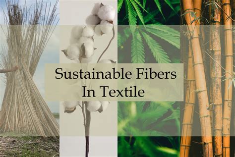 ¡Jute: La Fibra Natural Versátil para una Industria Textil Sostenible!