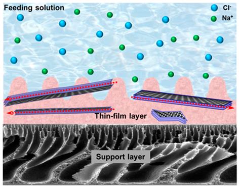  ¿Silice Nanoporosa: Un material milagroso para la purificación de agua y el almacenamiento de energía?