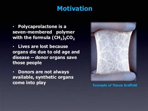  ¿Woven Polycaprolactone: Un Tesoro Oculto en el Mundo de la Ingeniería Tisular?